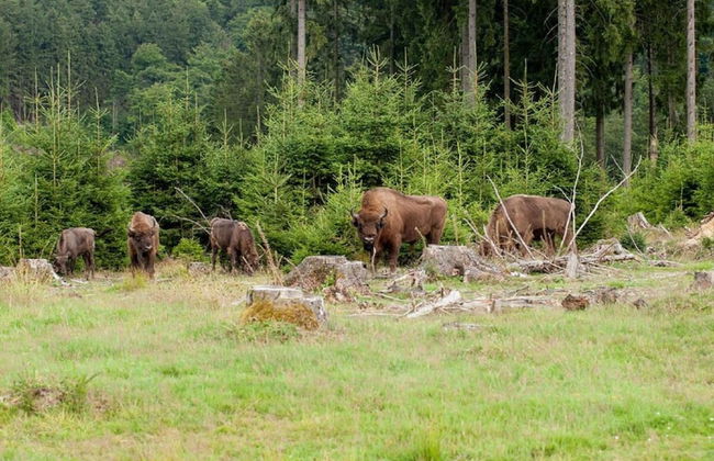 Ferienwohnung in Kierspe, Sauerland - Foto 22