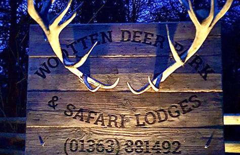 Luxury Safari Lodge-Sleeps 4 6-Deer Park-Dogs Ok - Foto 45
