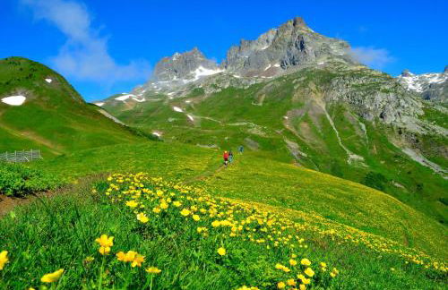 Chalet 800 - Foto 34