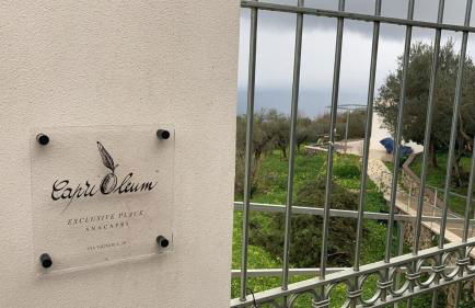 “CapriOleum” esclusive place - Foto 33