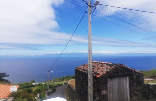 Vitamin Sea - Photo 6