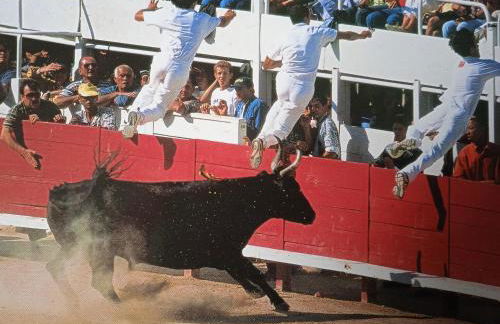 Les Oliviers de Camargue - Foto 38