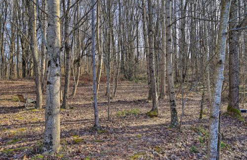 Pet-Friendly Home with Grill and Farm in Meadowview! - Foto 25