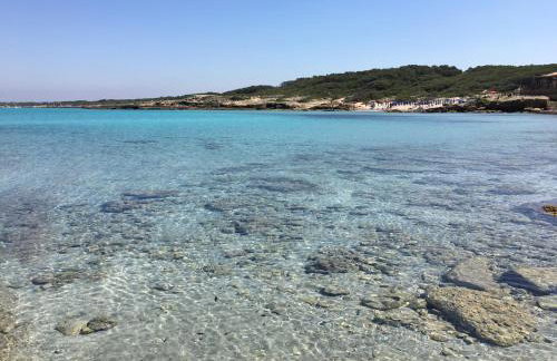 Salentum Flat - Foto 29