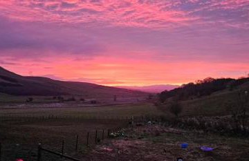 Glen Bay - 2 Bed Lodge on Friendly Farm Stay with Private Hot Tub - Foto 72