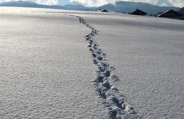 Ferienwohnungen Britta Heim - Photo 71