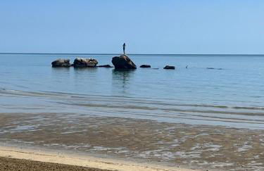 Perla marina - Foto 28