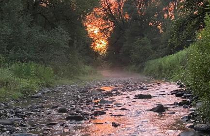 Froggy Goggle Barn - Foto 35