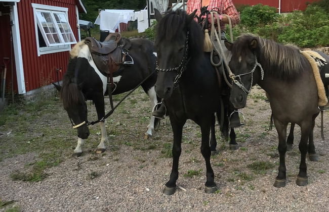 Ullstorps Stugor - Foto 71