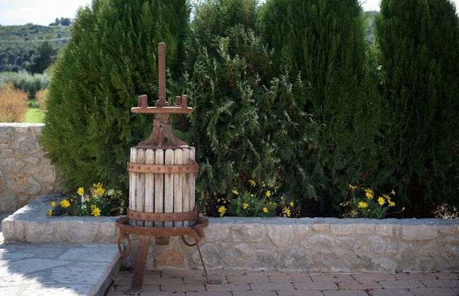 Traditional Guest House Grandma Vitsas - Foto 22