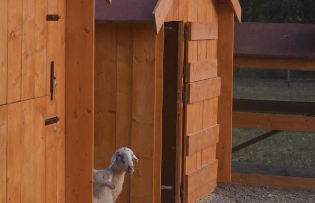 Podere delle Fanciulle - Foto 46