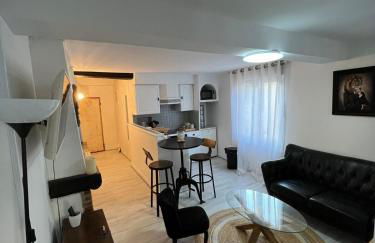 Appartement centre ville proche Roissy CDG - Foto 1