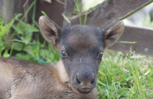 Stunning 16th Century Farmhouse in Suffolk - Foto 32