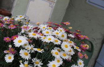 Lo Chalet dell'Artista - Foto 78