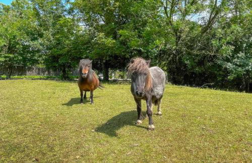 Penfound Country Cottage - Foto 13