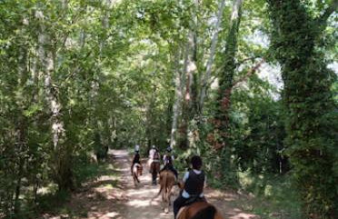 Masía Can Janàs - Foto 24