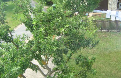 Apartment Jopa - Foto 31