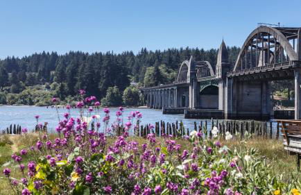 Sandpiper Shores - Foto 39