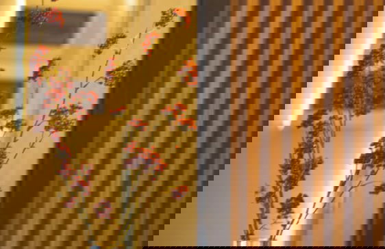 Catalina Majorca - Foto 37