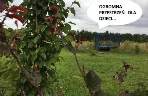 Na zielonej łące... - Foto 23