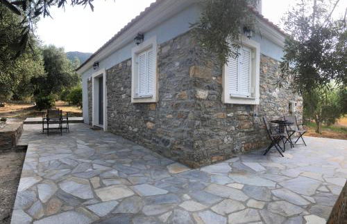 Emmeleia's - Photo 23