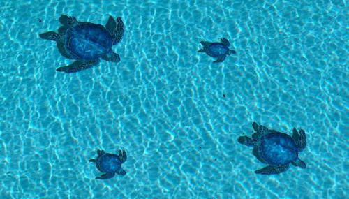 Holiday home "225 Marc Chagall" - Foto 2