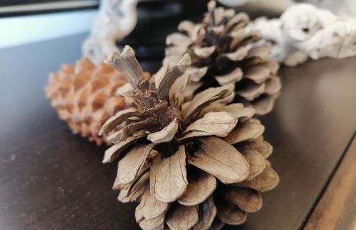 A l Aube du Midi - Foto 64