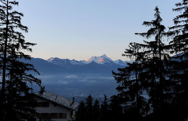 Aparthotel Helvetia Intergolf - Foto 79