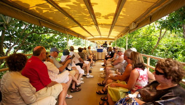Atravessando a selva de São Cristóvão