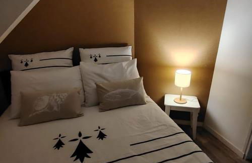 Terrasse du Mont St Michel, vue imprenable, appart cosy proche Mont St Michel - Foto 20