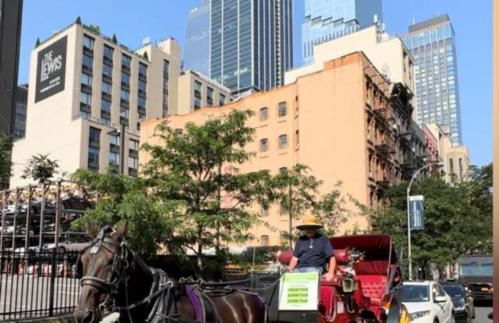 Hudson Yard 408 - Foto 9