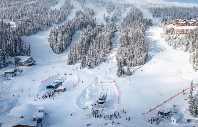 Trapper's Lodge 4 Bd W/great View, Private Hot Tub - Photo 27