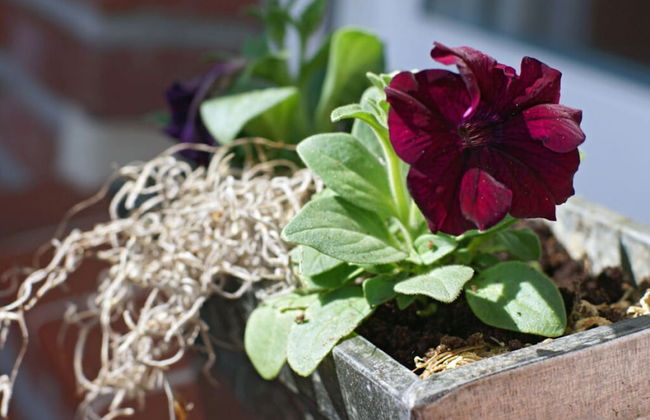 Amazing Apartment in Hage - Photo 18