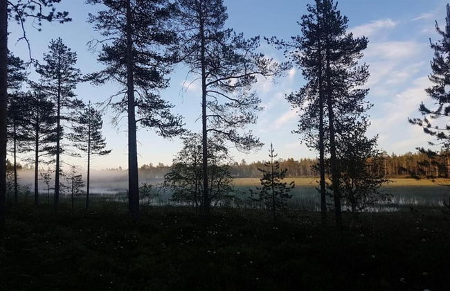 Metsä Kolo - Photo 29