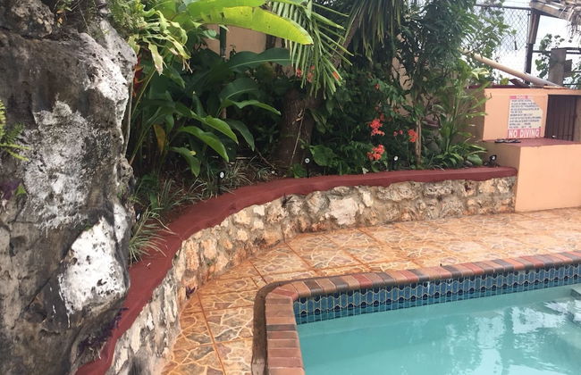 Mountain Top Villa - Photo 30