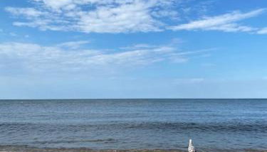 Flat 1, Cromer - Foto 4