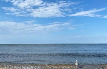 Flat 1, Cromer - Foto 4