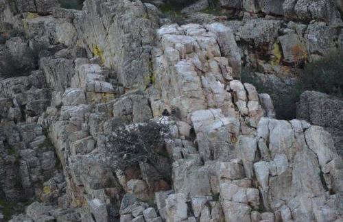 Apts la cañada birding con encanto y patio en monfrague torrejon el Rubio - Foto 17