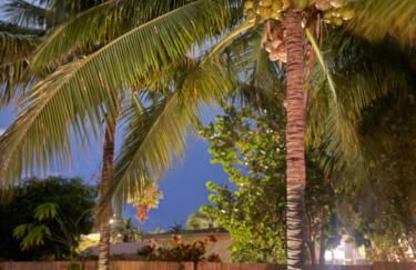 Coconut Trail Resort Unit - Foto 36