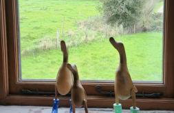 The Little Barn at Roache House Farm - Photo 16