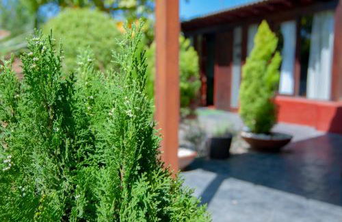 El Rincón Del Huroncillo - Foto 35