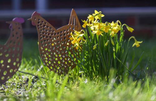 Swallows Cottage - Foto 31