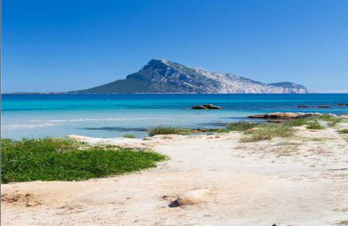 Matilda's house at San Teodoro - Foto 8