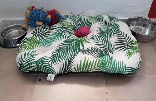 Casa Do Mestre Lau - Foto 11