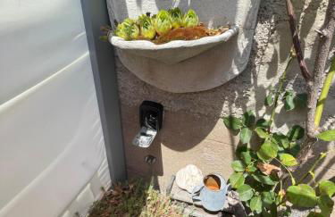 La Symbiose 23 - Photo 4