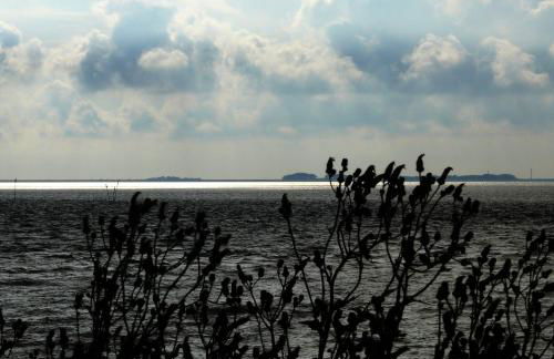 Haus Halligblick - Foto 23