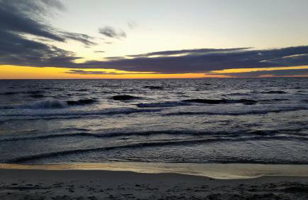 Słowińskie Widoki domki Flora, Fauna, noclegi Smołdziński Las - Foto 49