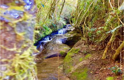 Hospedagem Colinas - Foto 22