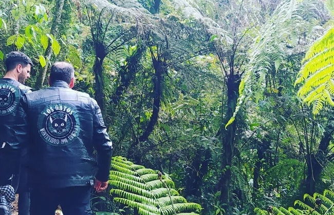 Pousada Rota do Corvo - Grão-Pará - SC - Photo 21