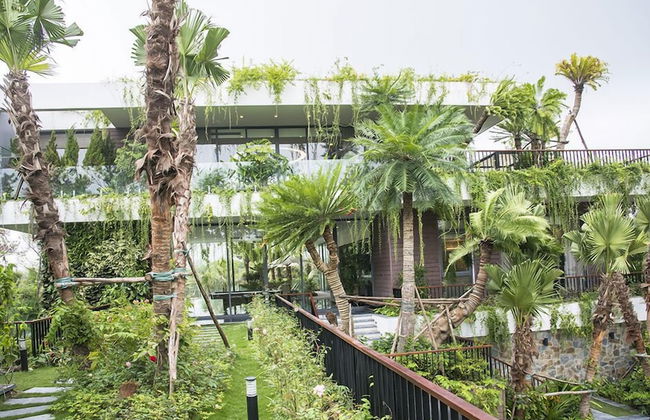 Flamingos Dai Lai Resort Luxury - Photo 38